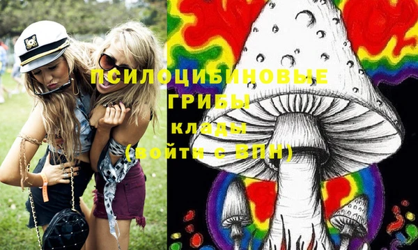 таблы Пересвет